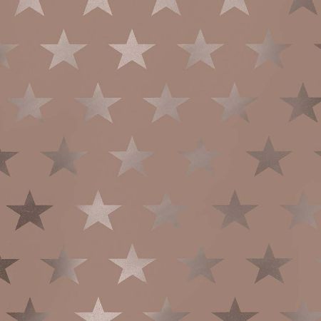 Afbeeldingen van Metallic cadeaupapier 50cm 100m - Etoile rosegold