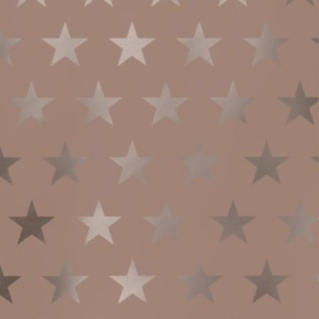 Afbeeldingen van Metallic cadeaupapier 50cm 100m - Etoile rosegold