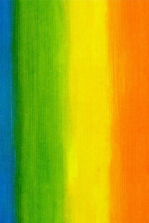 Afbeeldingen van Wit kraft cadeaupapier 30cm 250m - Rainbow