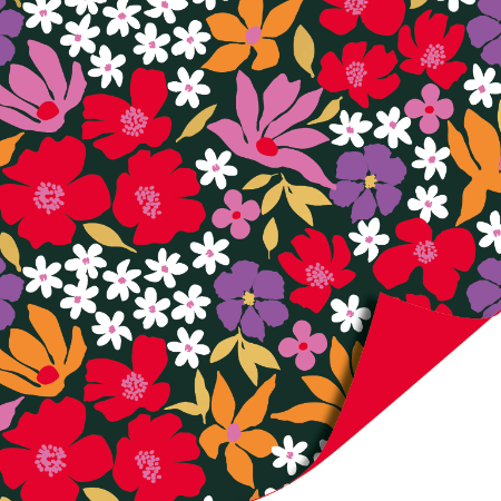 inpakpapier, cadeaupapier, geschenkpapier, kadopapier