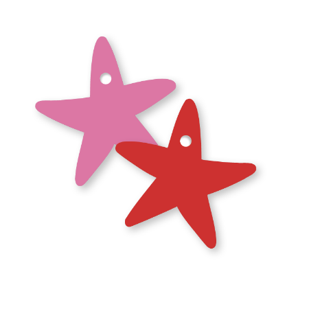 Dubbelzijdig cadeaulabel ster roze en rood – 53 × 86 mm – feestelijk