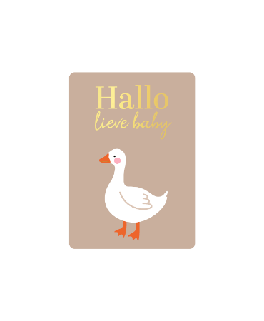 Beige Cadeaukaartje A7 met Hallo lieve baby in goud - Baby goose - Kraamkaartje
