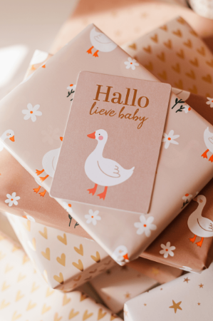 Beige Cadeaukaartje A7 met Hallo lieve baby in goud - Baby goose - Kraamkaartje