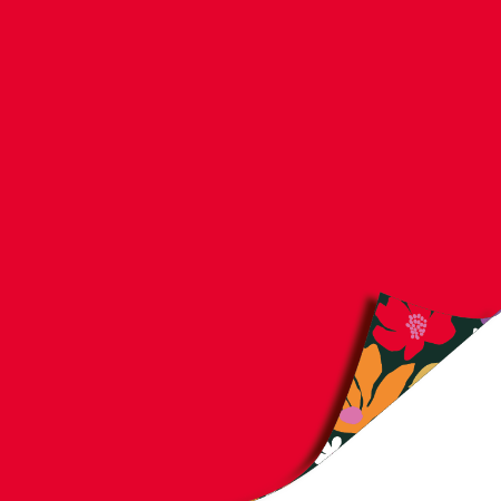 Afbeeldingen van KP® Cadeaupapier 50cm 100m - Colorful flowers