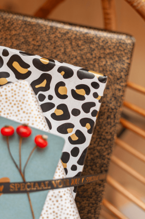 inpakpapier, cadeaupapier, geschenkpapier, kadopapier