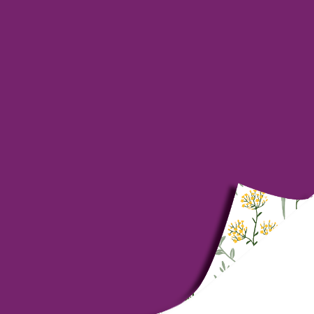 Afbeeldingen van KP® Cadeaupapier 40cm 100m - Wildflowers