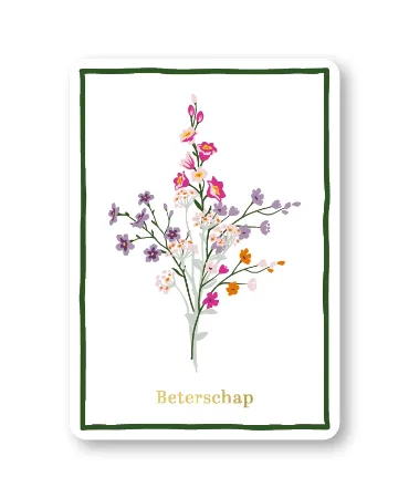 KP® Wenskaarten A6 - Beterschap  (wildflowers) - 10 stuks