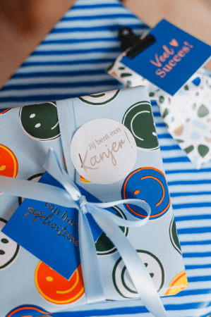 Soft Stripe (blue/red) - inpakpapier, cadeaupapier