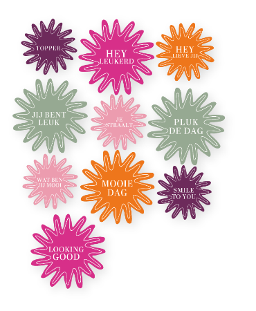 Spiegelstickers - Raamsticker div. maten - Complimenten stickervel
