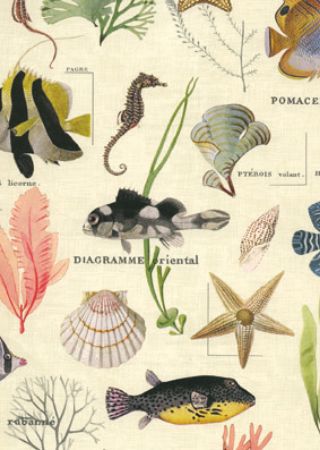 inpakpapier, cadeaupapier, geschenkpapier, kadopapier