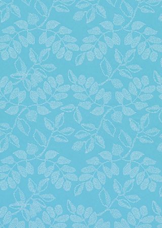 Afbeeldingen van Cadeaupapier Eco Nature wit 80gr Delos 30cm 200m