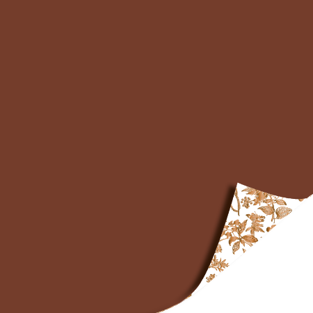 cadeaupapier, inpakpapier, geschenkpapier, toonbankrol