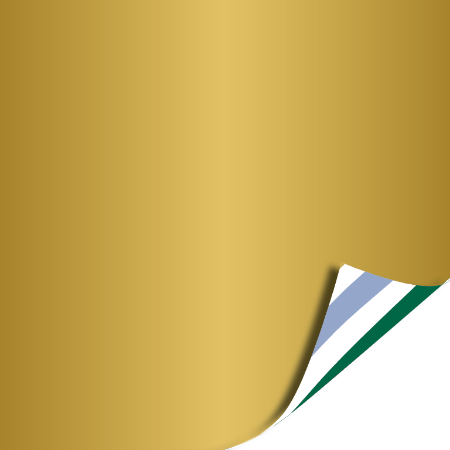 Afbeeldingen van KP® Cadeaupapier 50cm 100m - Painted lines gold