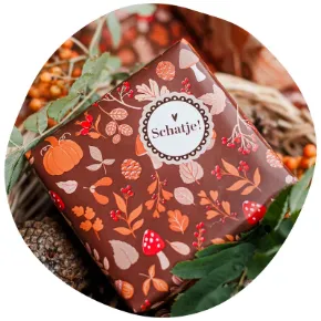 Afbeelding voor categorie Autumn vibes